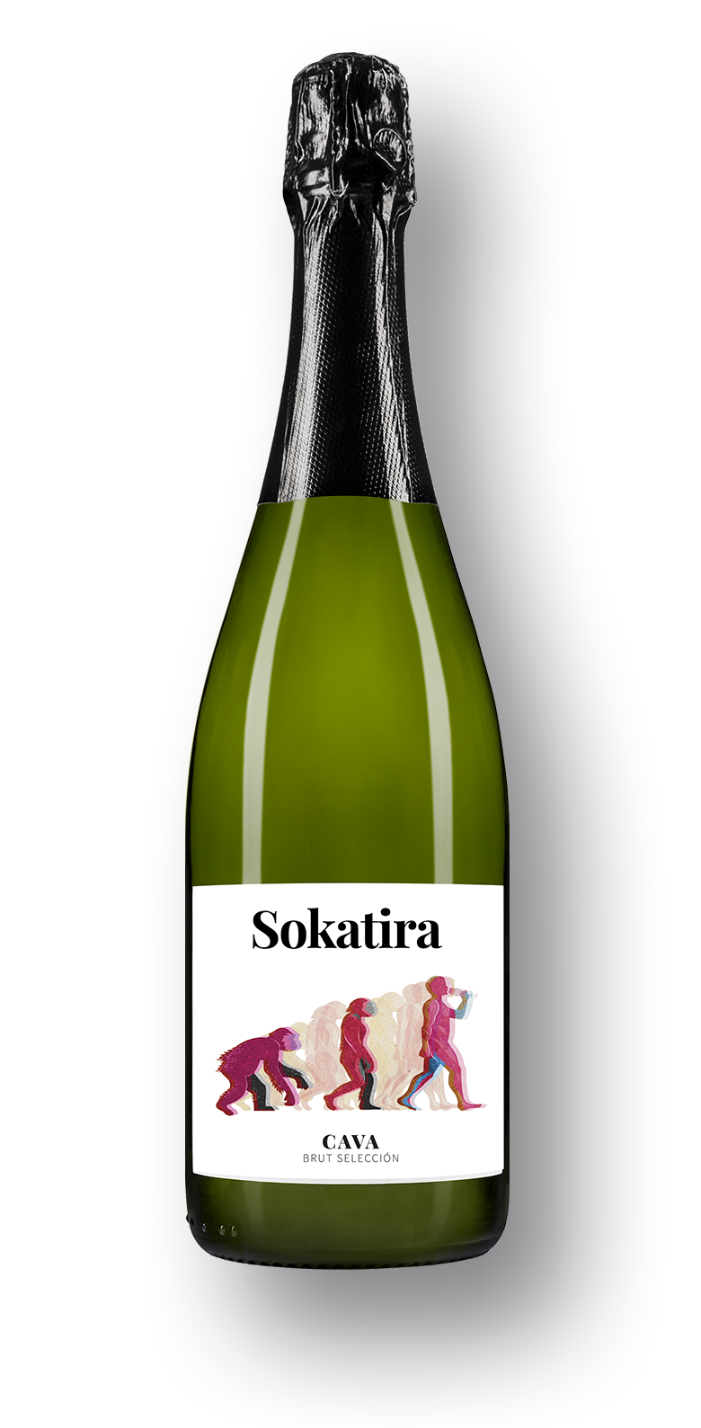 bodega-sokatira-cava-seleccion