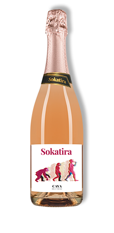 sokatira-cava-rose-1
